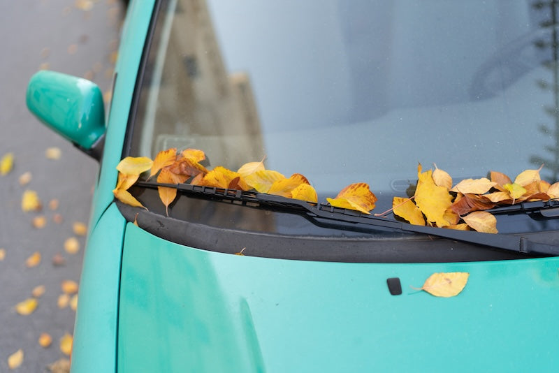 How To Avoid Windscreen Wiper Damage This Autumn